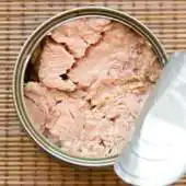 Free play online Receitas com Atum | FoodBait APK